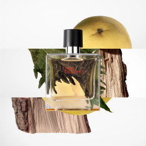 Terre d'Hermès - Perfume Gift Set Terre d'Hermès - Perfume Gift Set